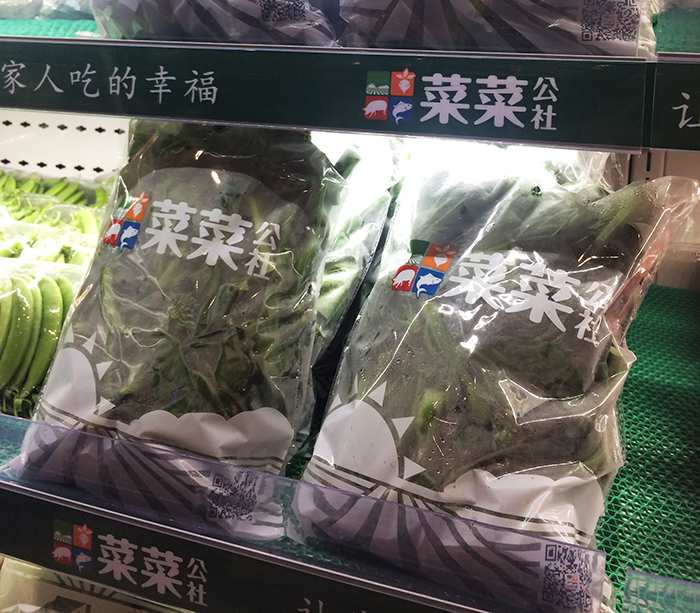 菜菜公社生鲜连锁品牌全案策划设计