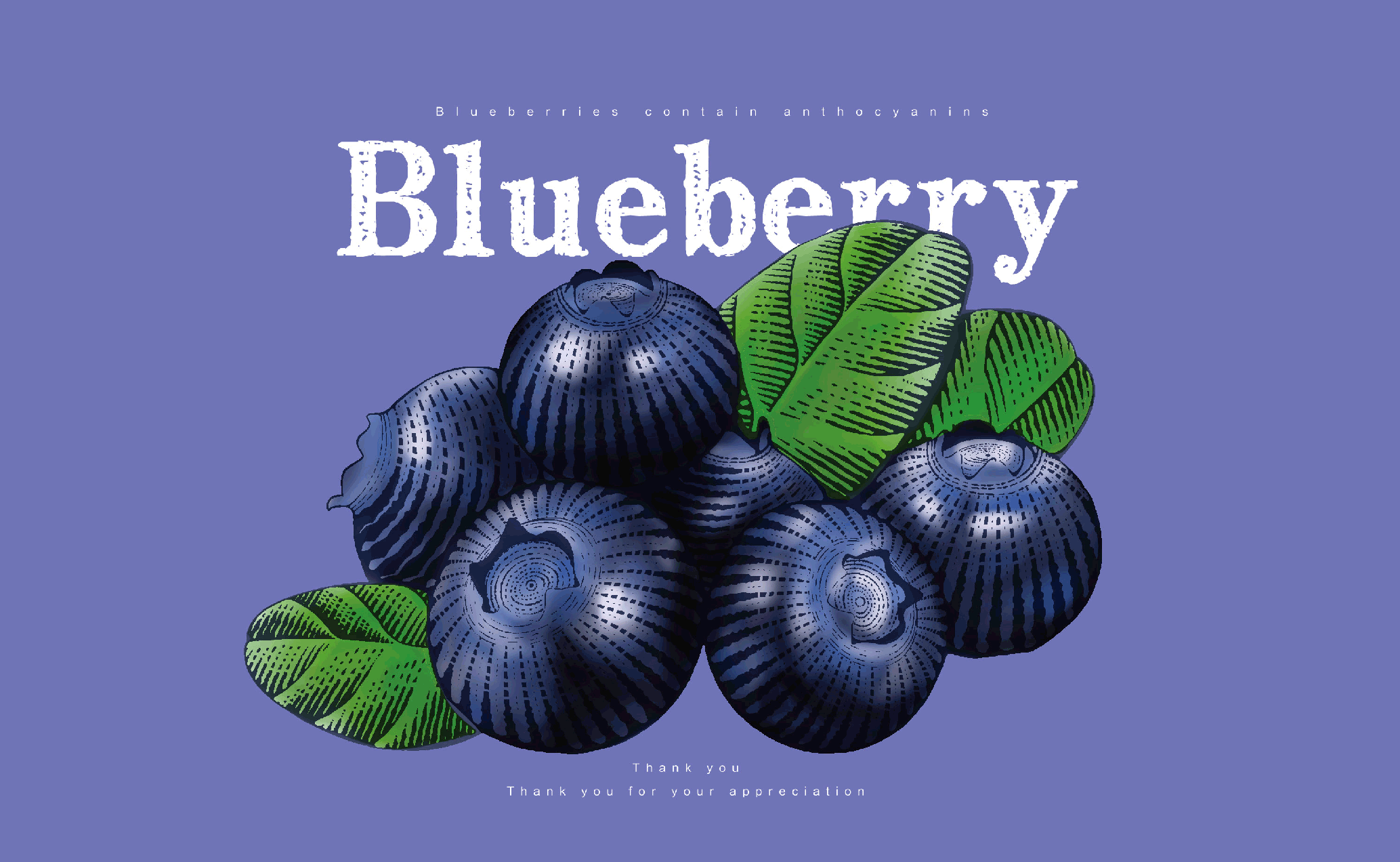 复古风系列-蓝莓
