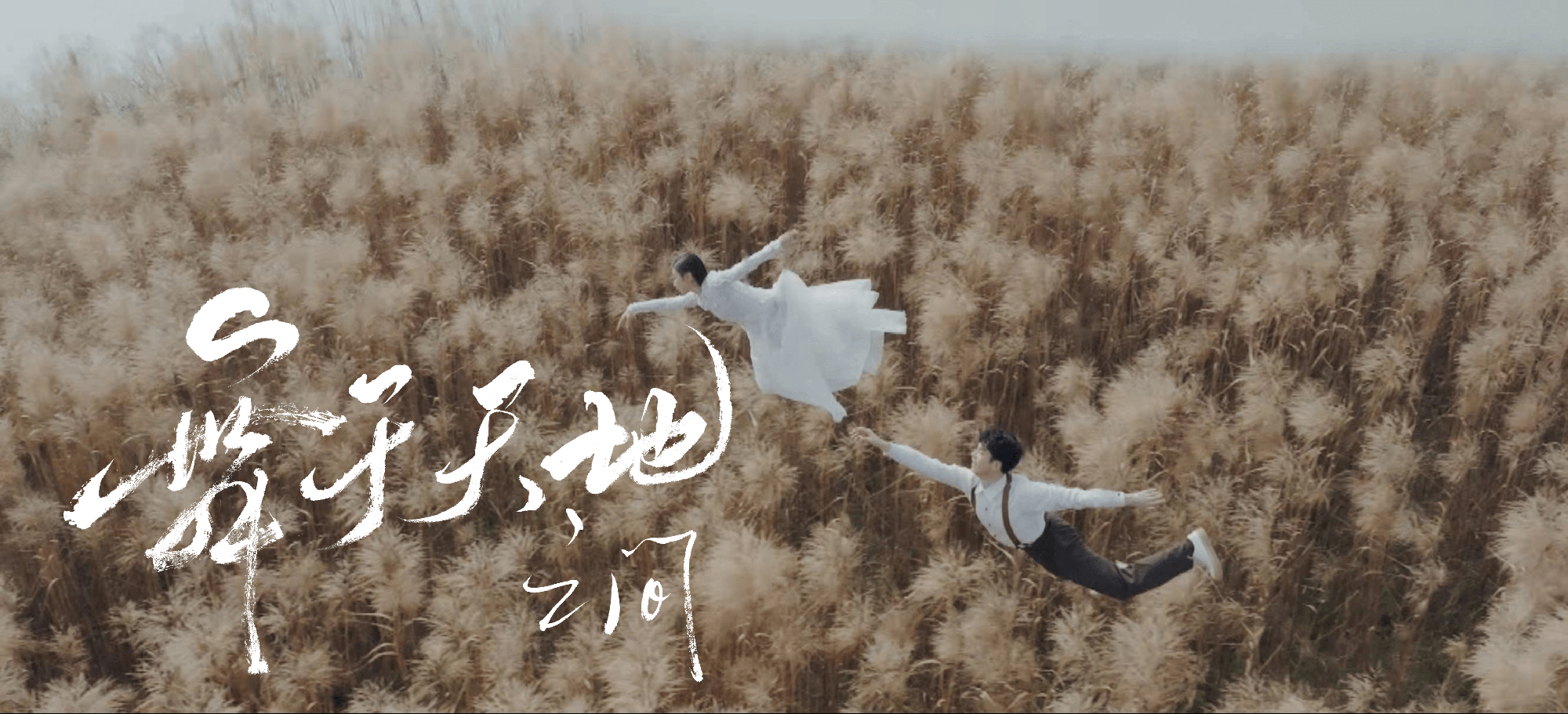 湖南卫视春晚✖️風の字