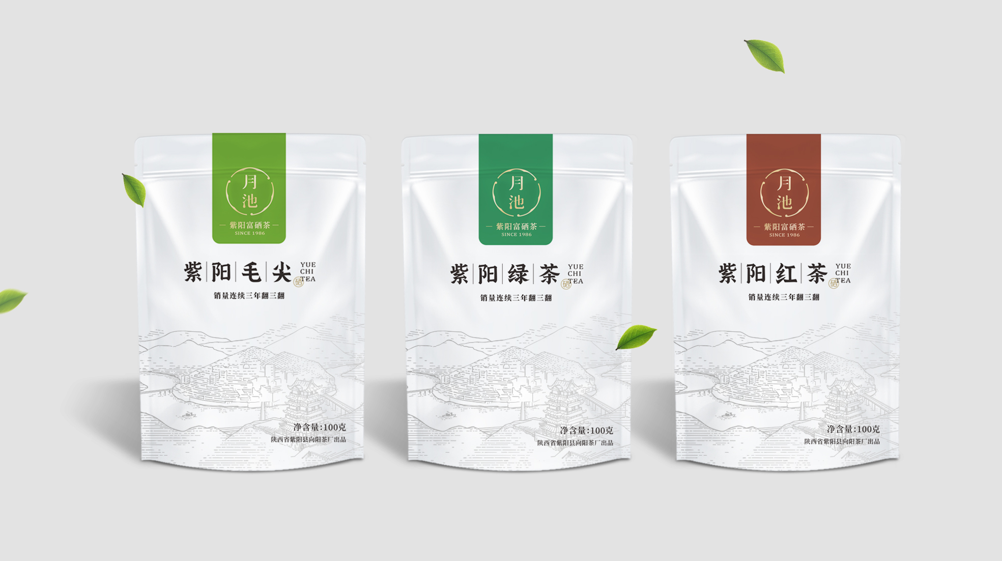 紫阳富硒茶包装设计