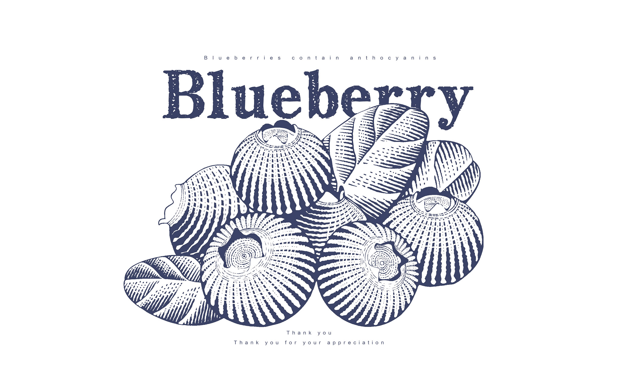 复古风系列-蓝莓