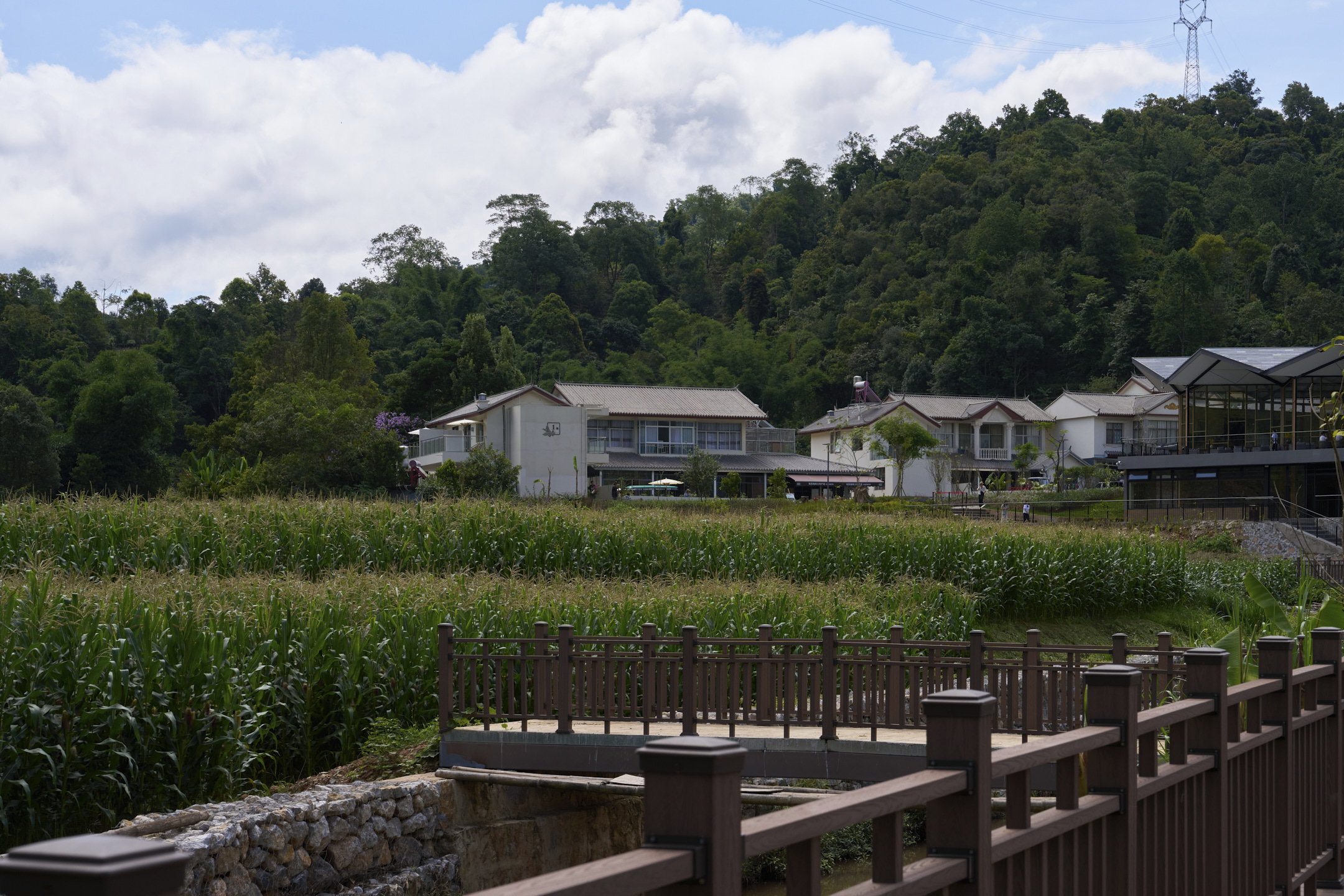 普洱民宿设计｜美丽星村有风咖谷乡村民宿